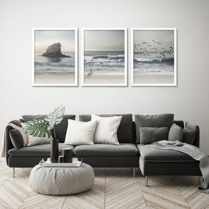 Morning Beach Walks by Tanya Shumkina - 3 Piece Framed Triptych Wall Art Set - Americanflat