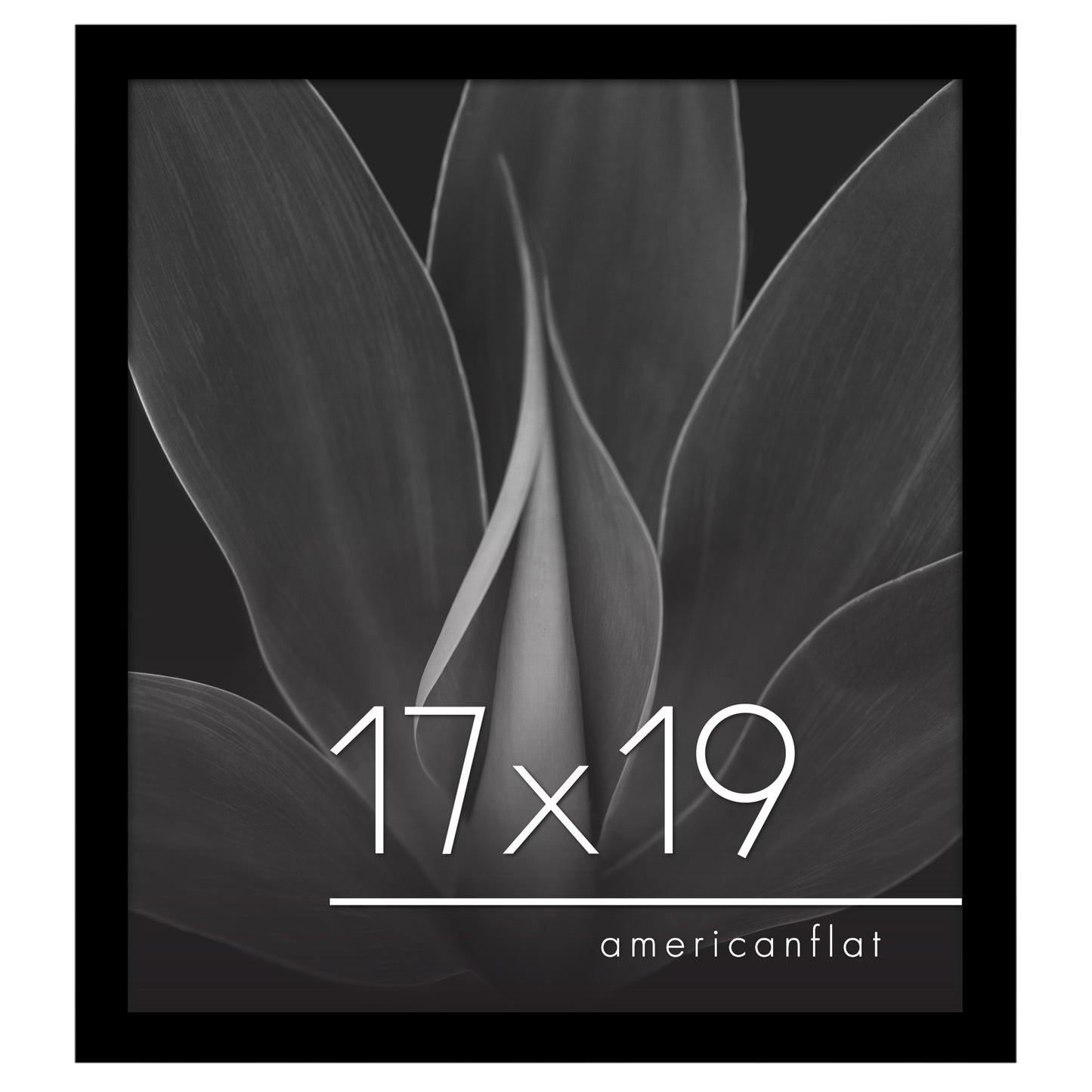 Gallery Poster Frame without Mat | Epic Collection