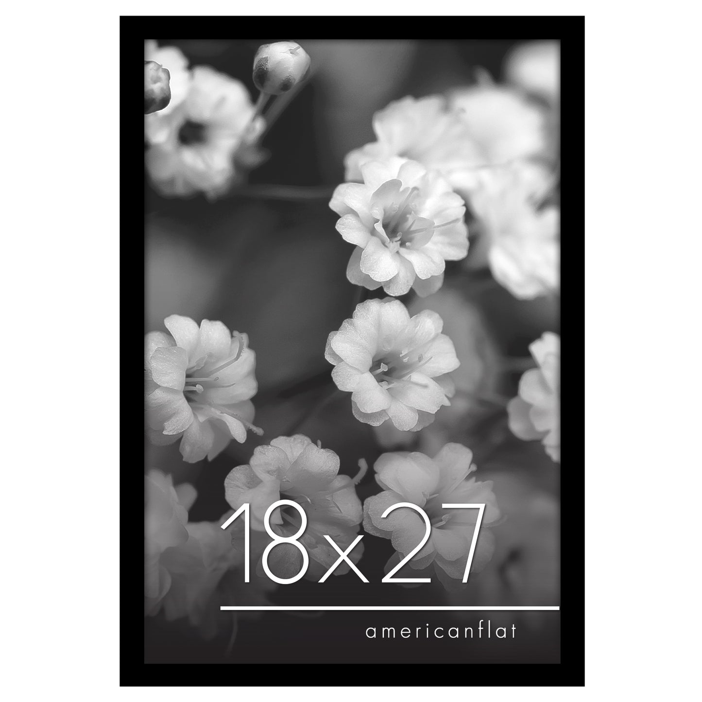 Poster Frame | Photo Frame with Polished Plexiglass Cover | Choose Size