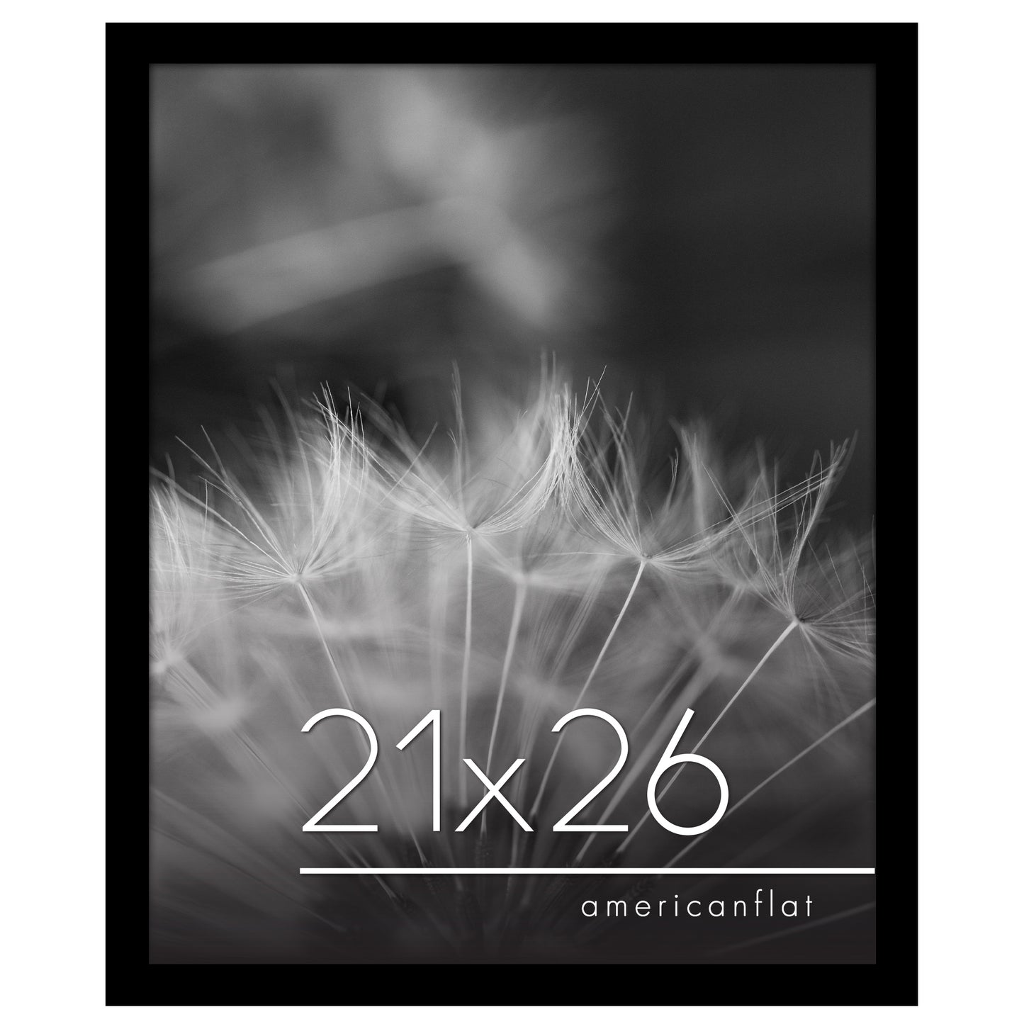 Poster Frame | Photo Frame with Polished Plexiglass Cover | Choose Size