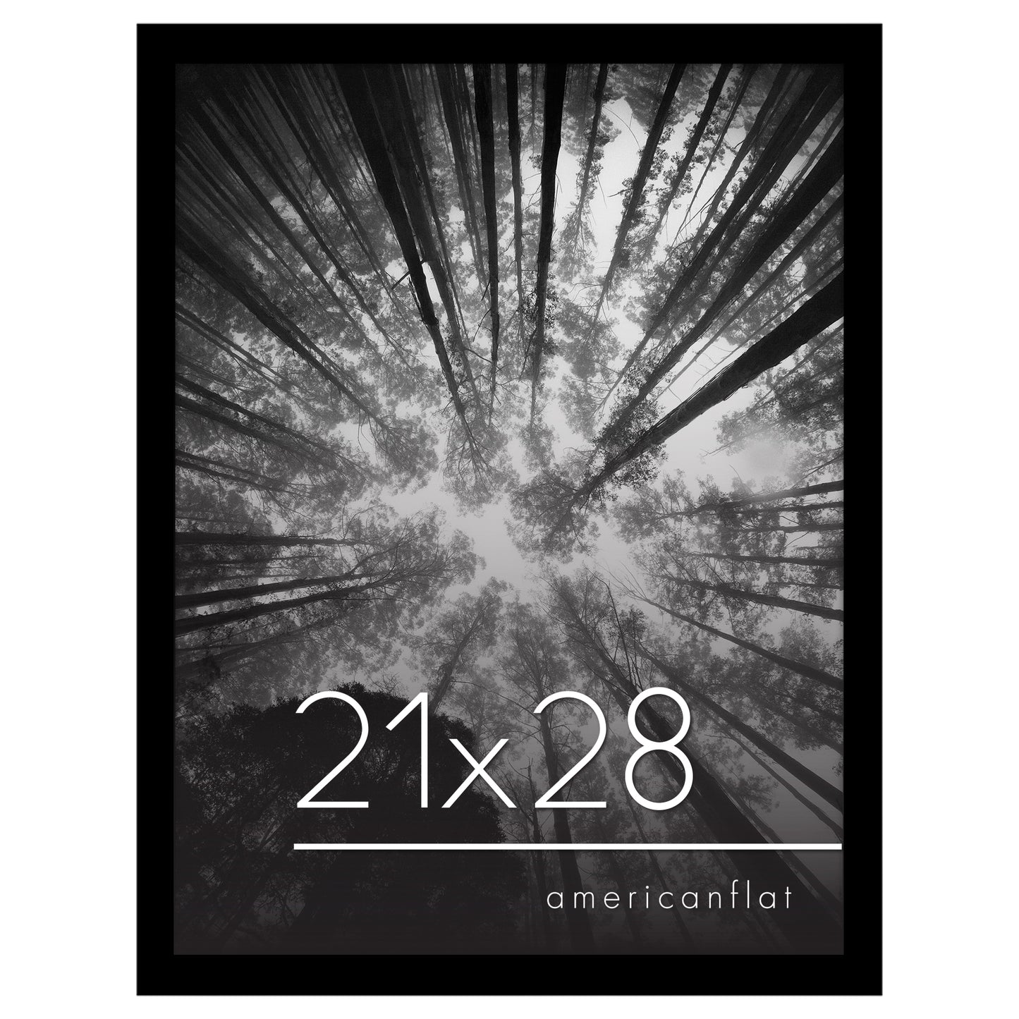 Gallery Poster Frame without Mat | Epic Collection