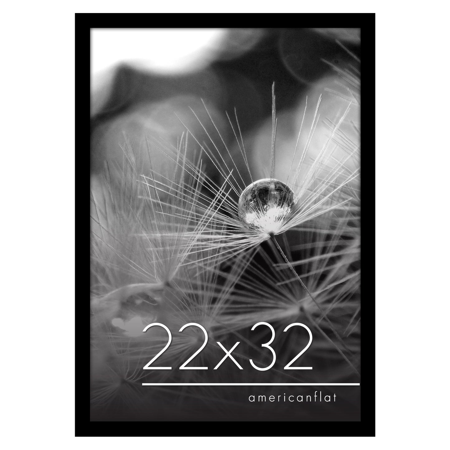 Poster Frame | Photo Frame with Polished Plexiglass Cover | Choose Size