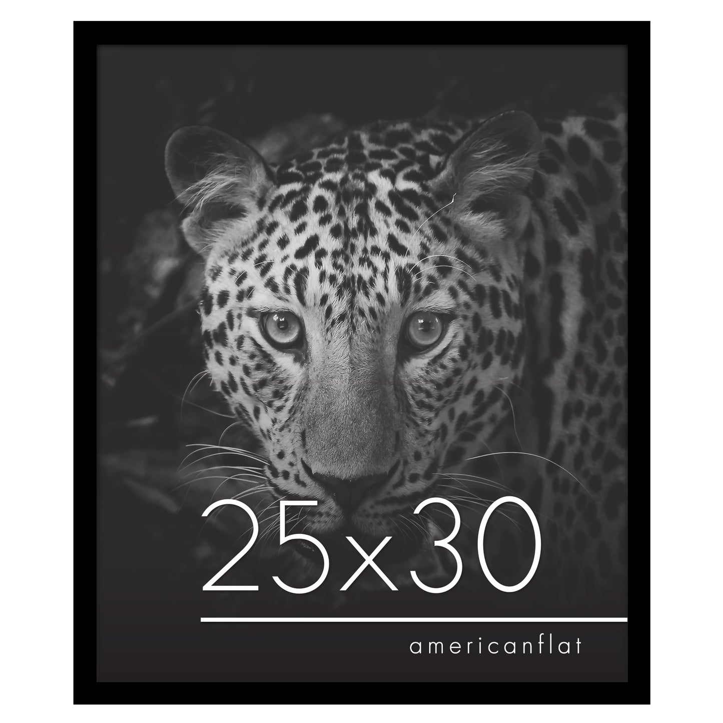 Gallery Poster Frame without Mat | Epic Collection