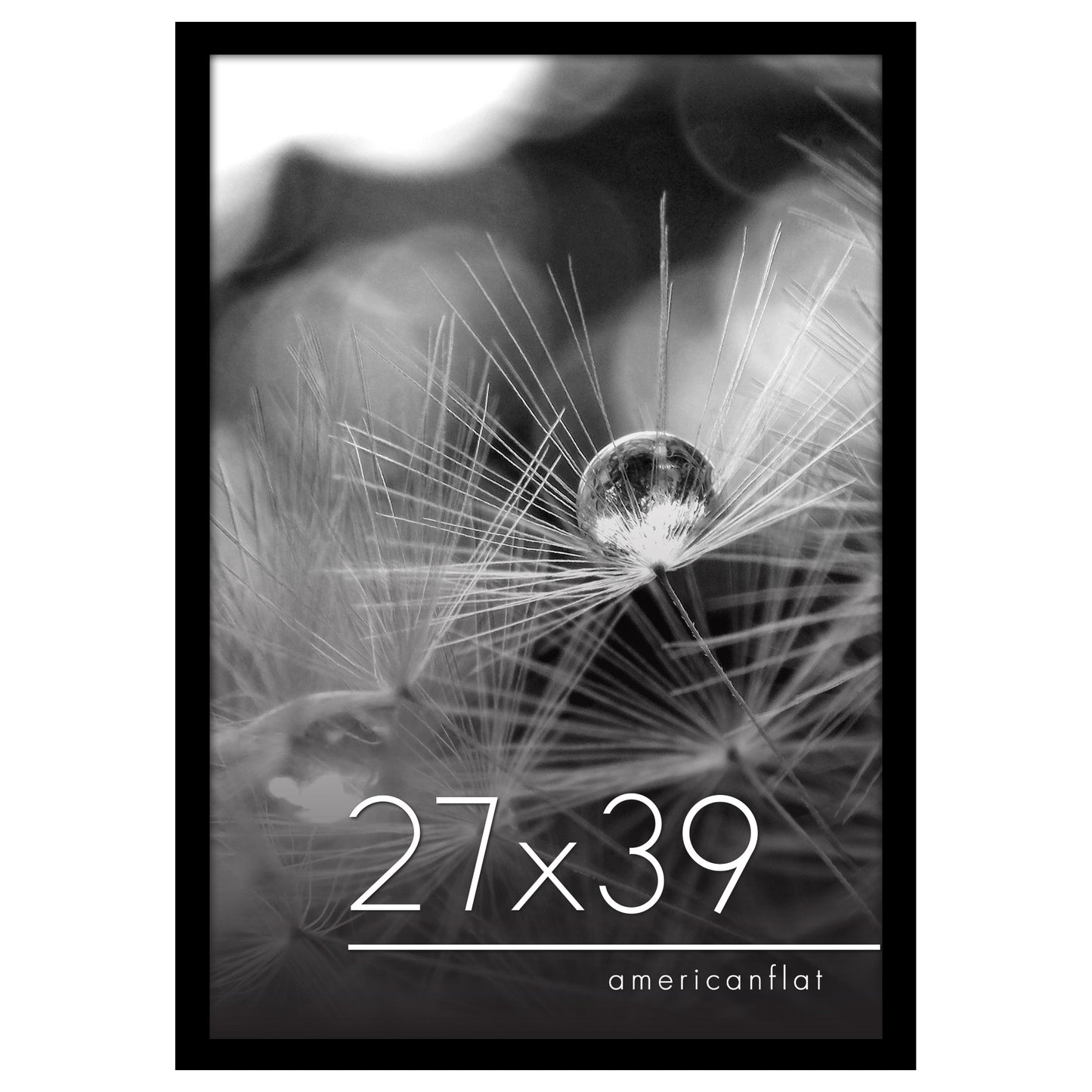 Poster Frame | Photo Frame with Polished Plexiglass Cover | Choose Size