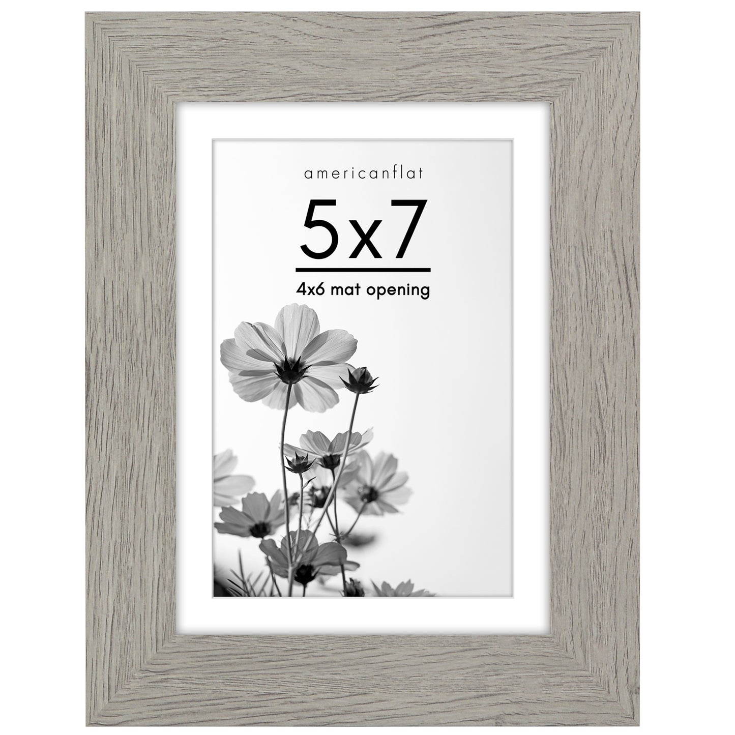 Gallery Picture Frame with Mat | Hudson Collection