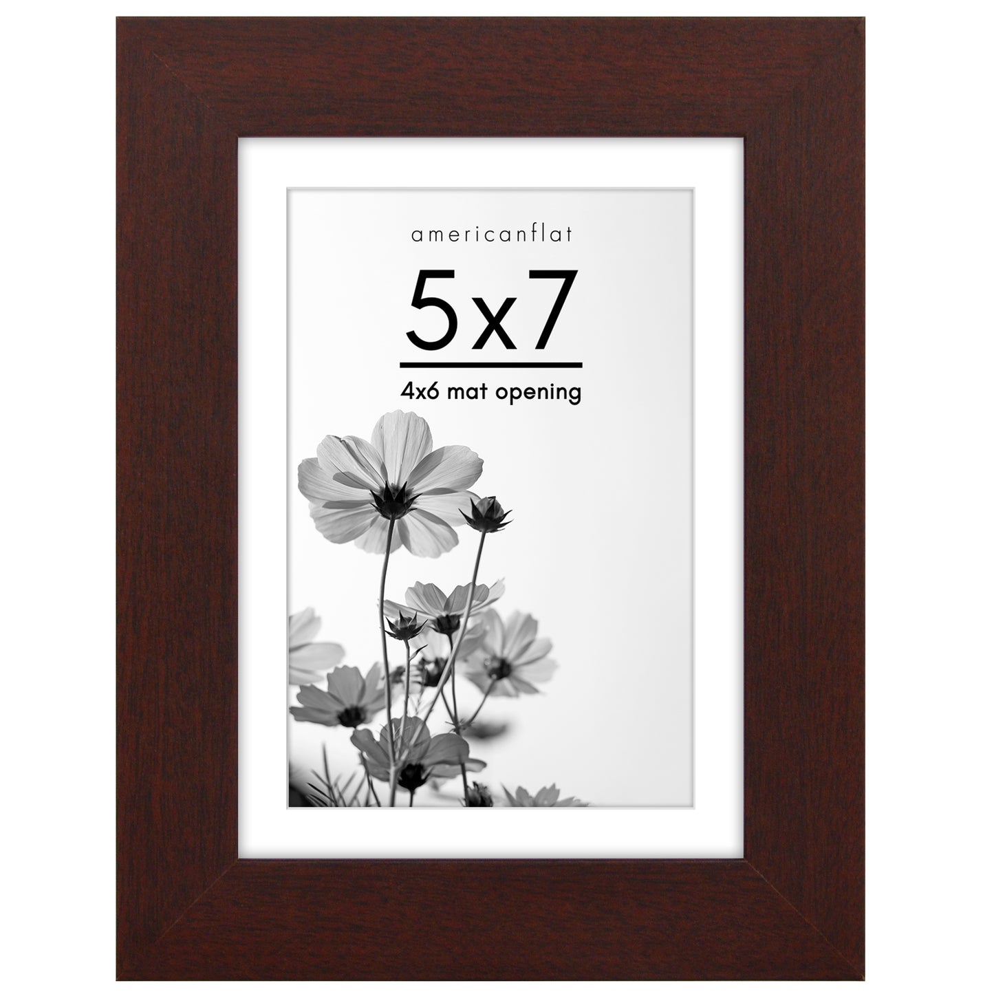 Wide Frame Picture Frame with Mat | Choose Size and Color