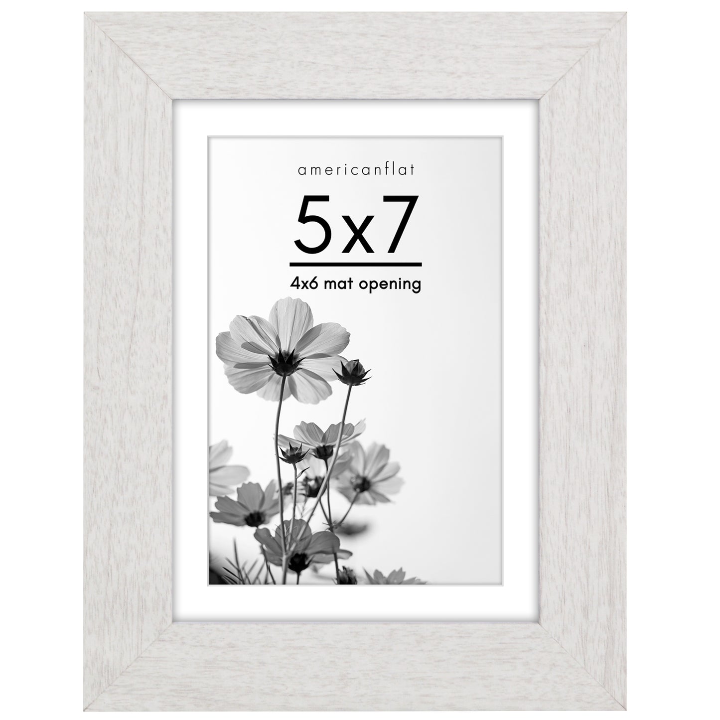 Wide Frame Picture Frame with Mat | Choose Size and Color