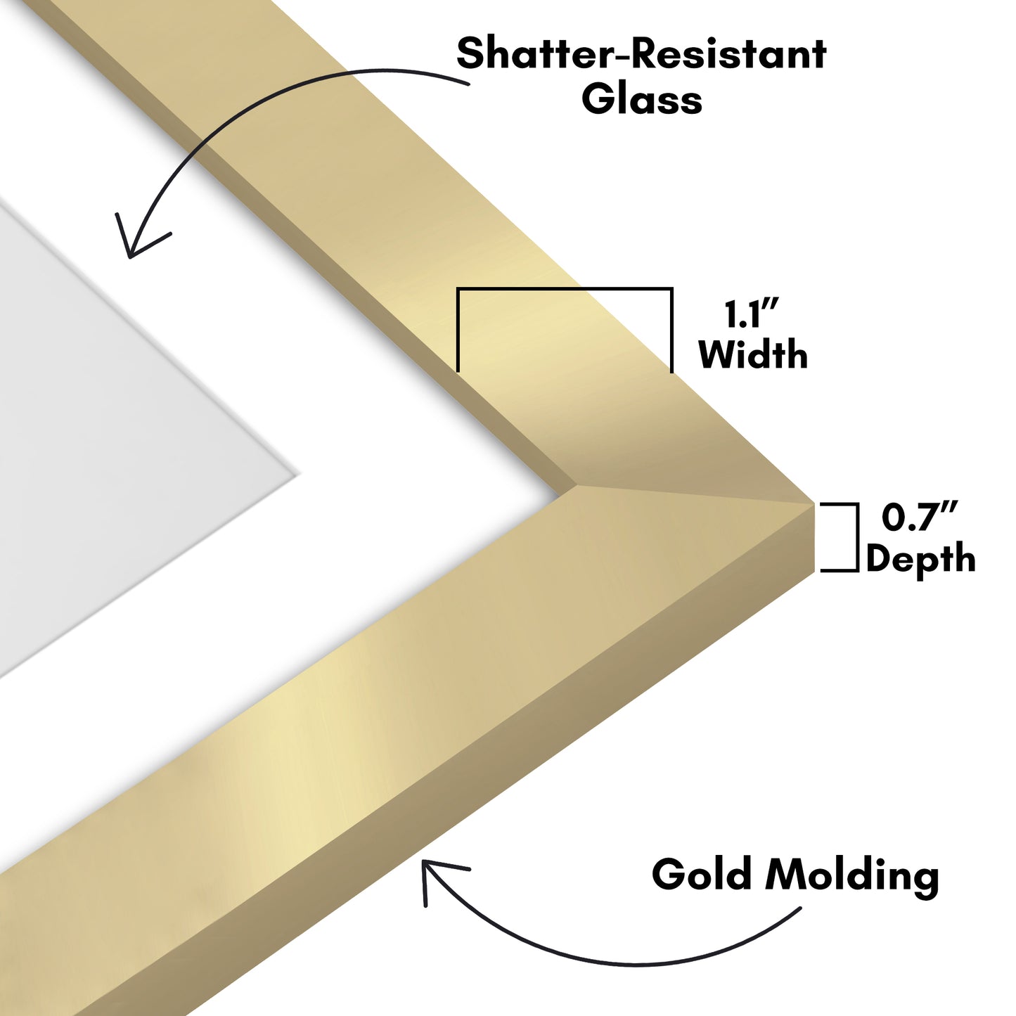 Wide Frame Picture Frame with Mat | Choose Size and Color