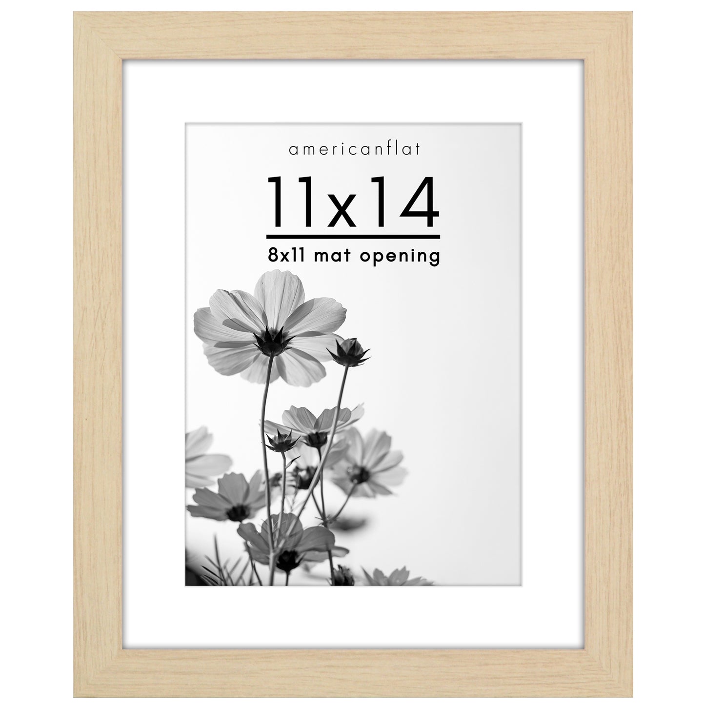 Wide Frame Picture Frame with Mat | Choose Size and Color