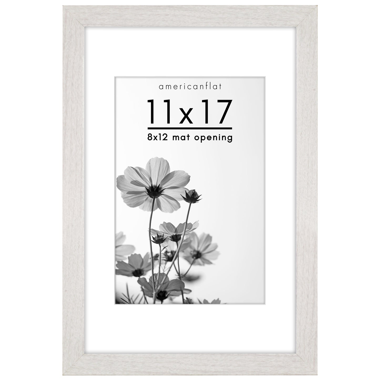 Wide Frame Picture Frame with Mat | Choose Size and Color