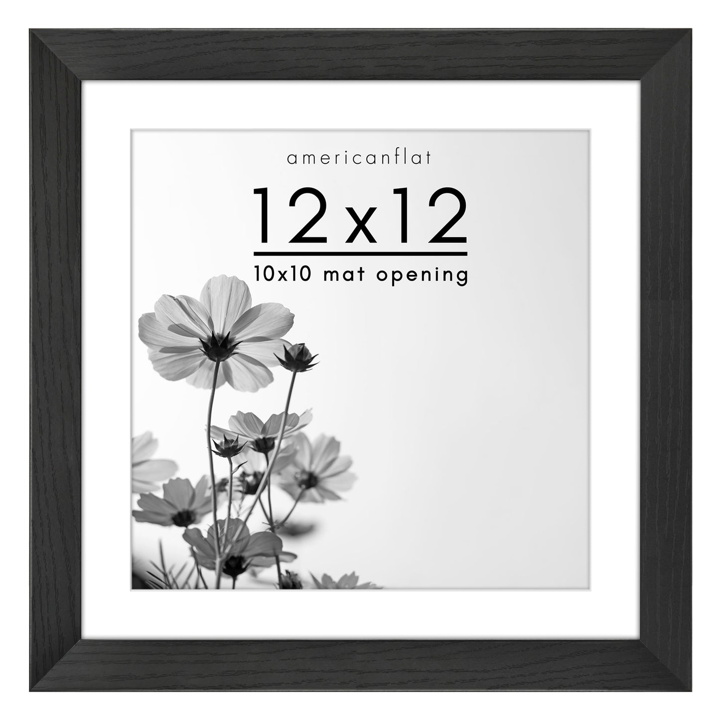 Wide Frame Picture Frame with Mat | Choose Size and Color