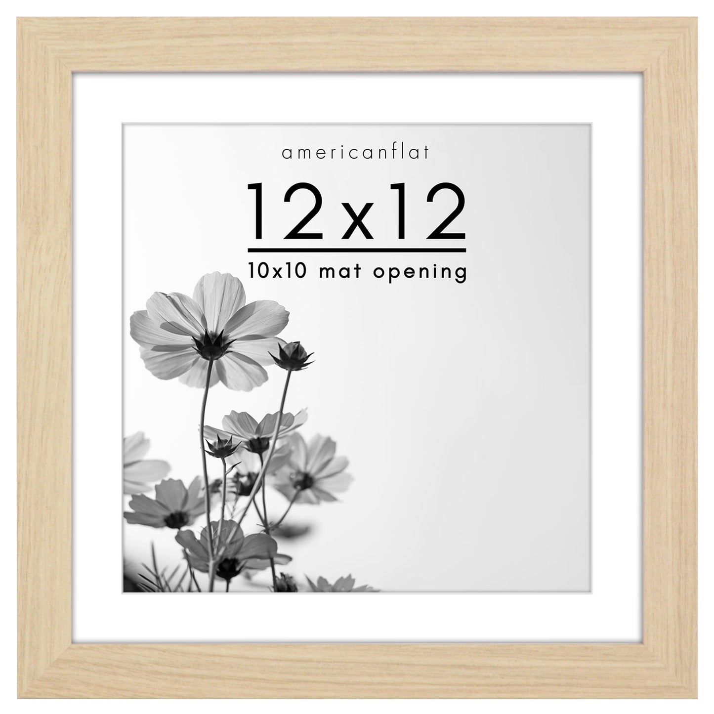 Wide Frame Picture Frame with Mat | Choose Size and Color