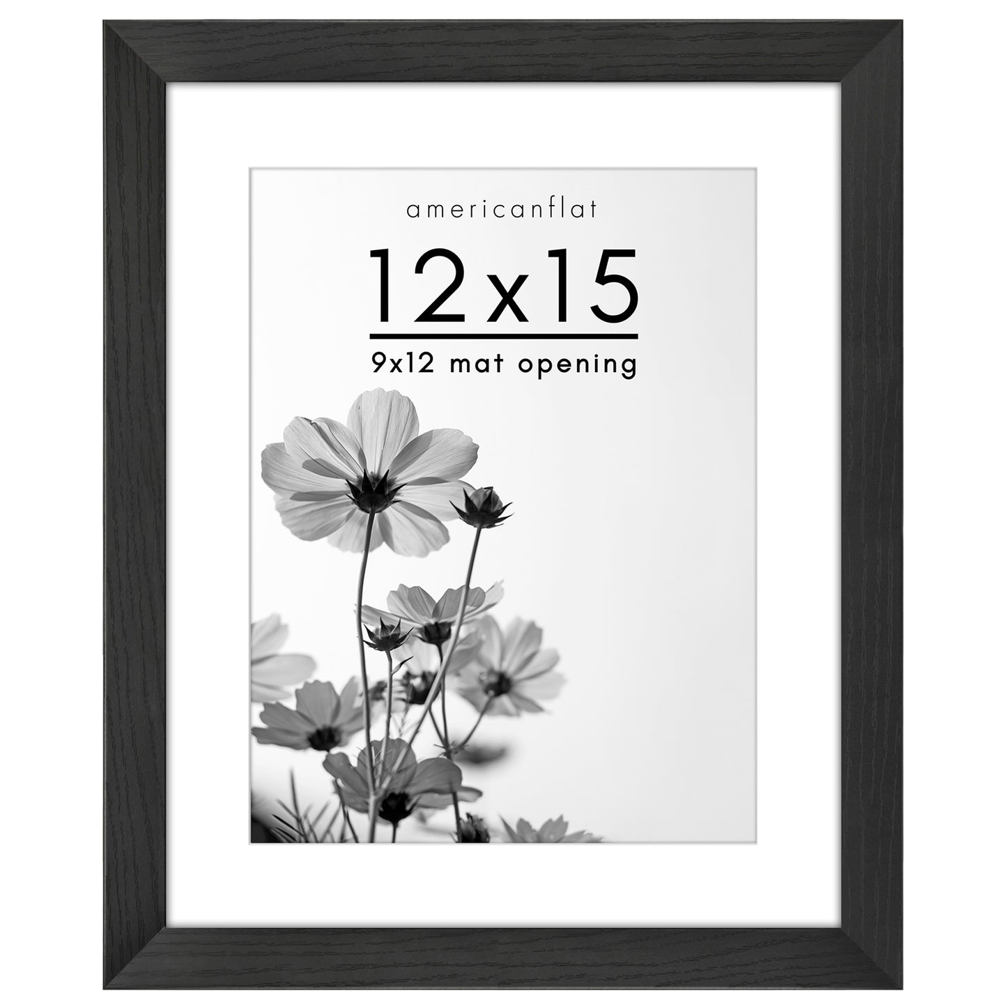 Wide Frame Picture Frame with Mat | Choose Size and Color