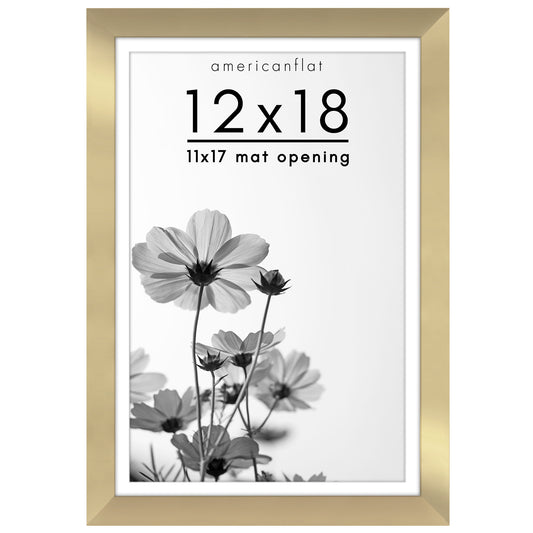 Oversized Gallery Picture Frame with Mat | Hudson Collection