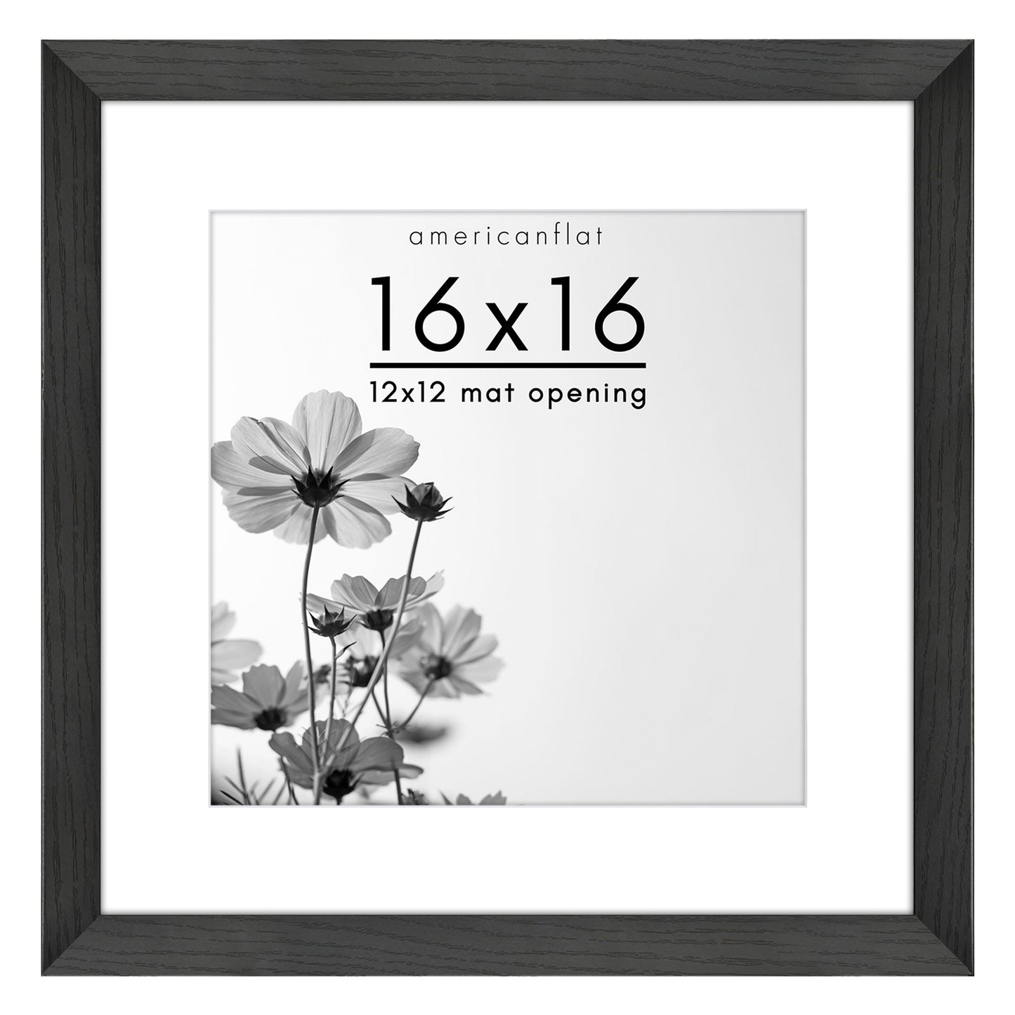 Oversized Gallery Picture Frame with Mat | Hudson Collection