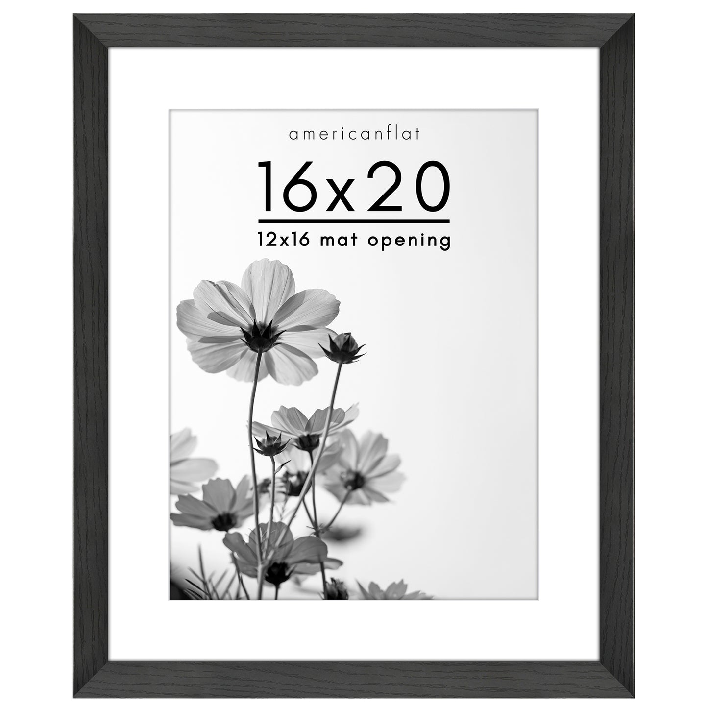 Oversized Gallery Picture Frame with Mat | Hudson Collection