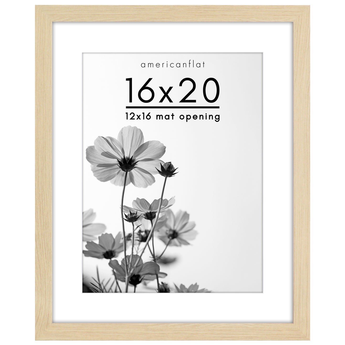 Oversized Gallery Picture Frame with Mat | Hudson Collection
