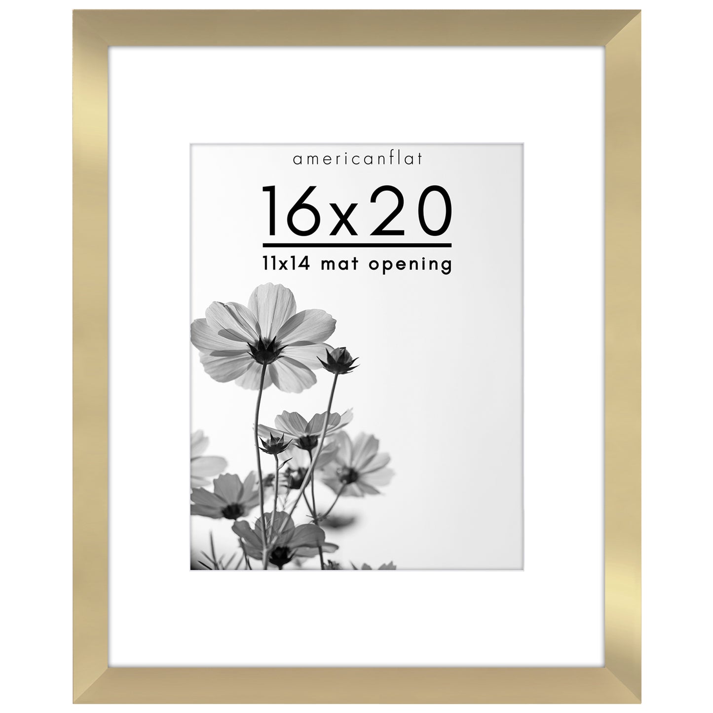 Oversized Gallery Picture Frame with Mat | Hudson Collection