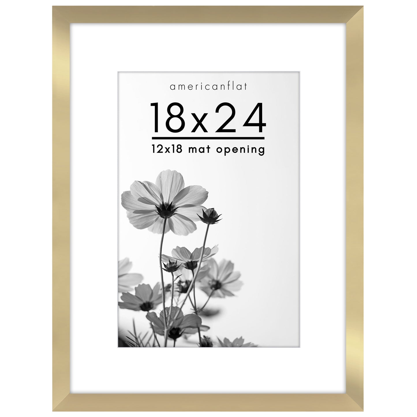 Oversized Gallery Picture Frame with Mat | Hudson Collection