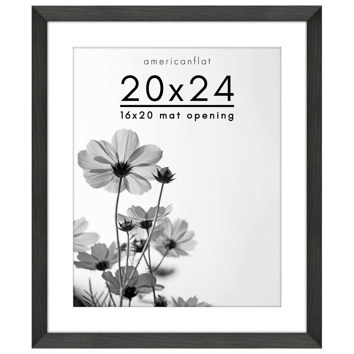 Oversized Gallery Picture Frame with Mat | Hudson Collection