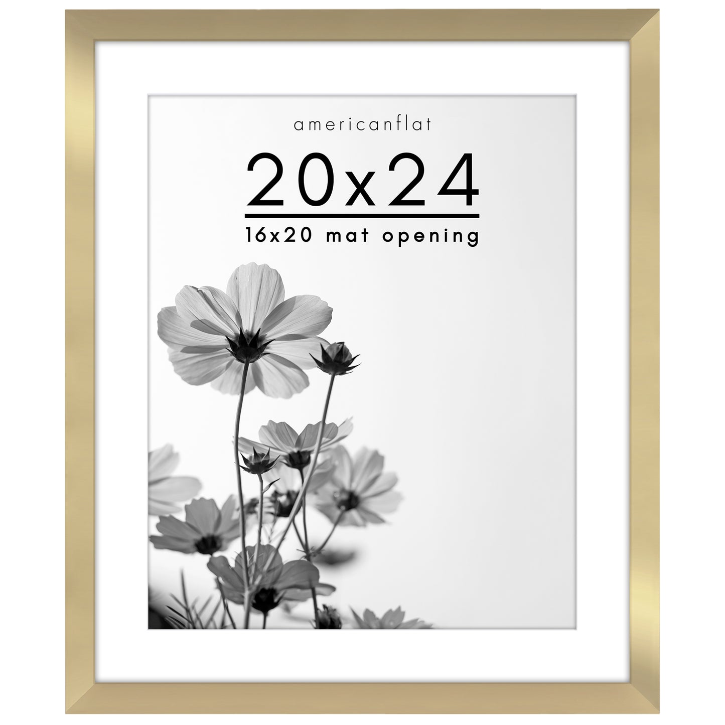 Oversized Gallery Picture Frame with Mat | Hudson Collection