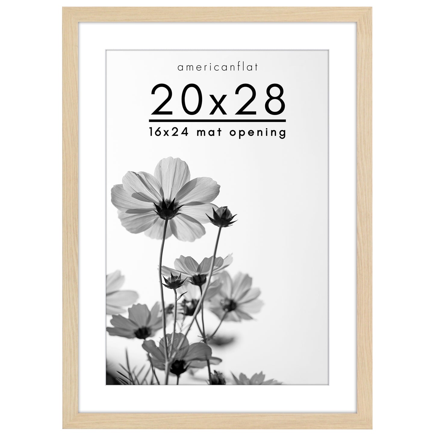 Oversized Gallery Picture Frame with Mat | Hudson Collection
