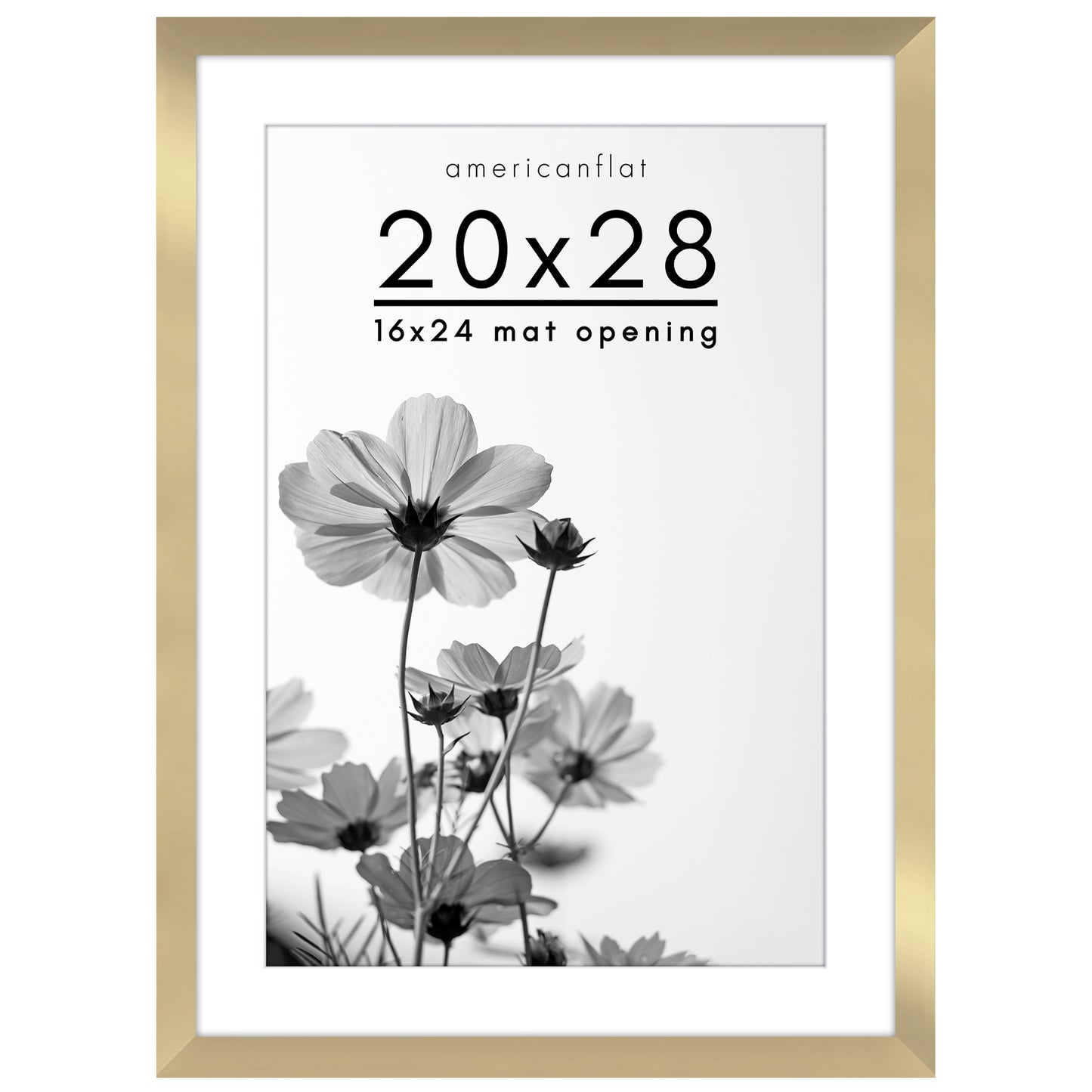 Oversized Gallery Picture Frame with Mat | Hudson Collection