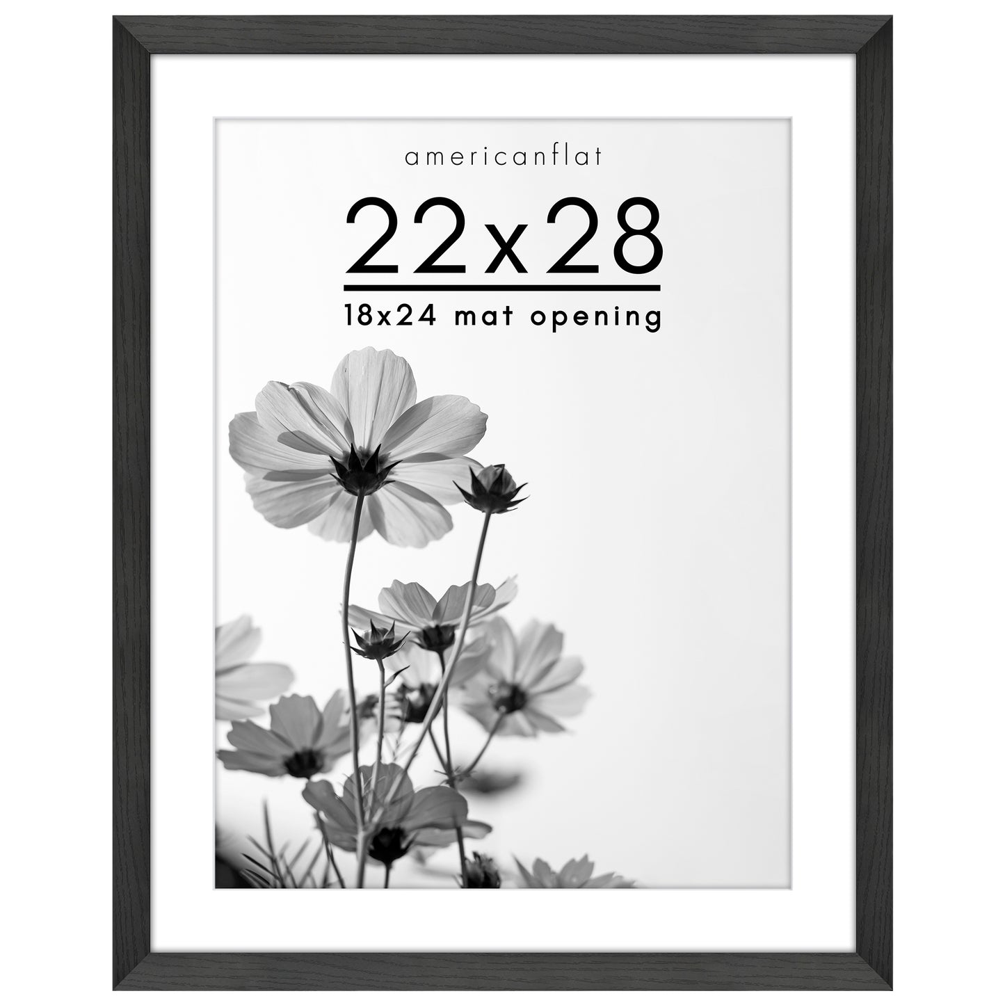 Oversized Gallery Picture Frame with Mat | Hudson Collection