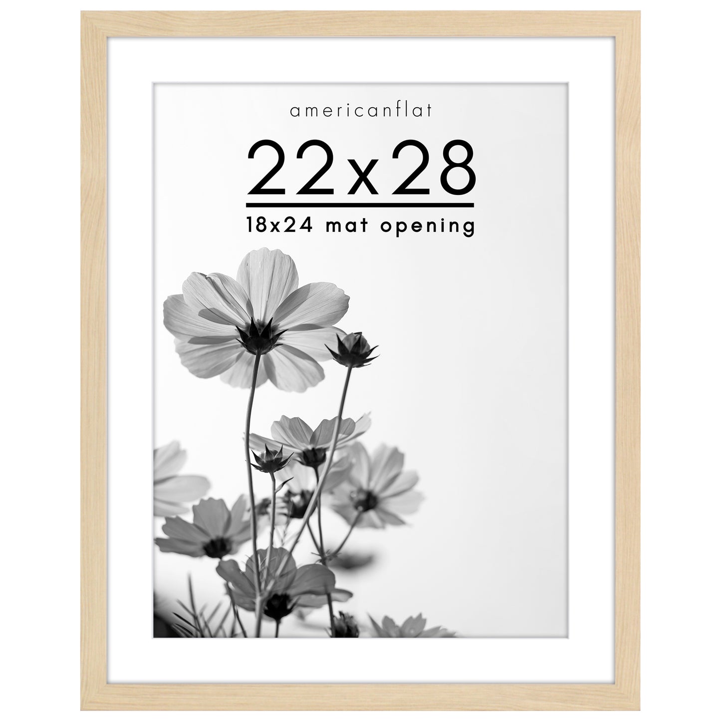 Oversized Gallery Picture Frame with Mat | Hudson Collection