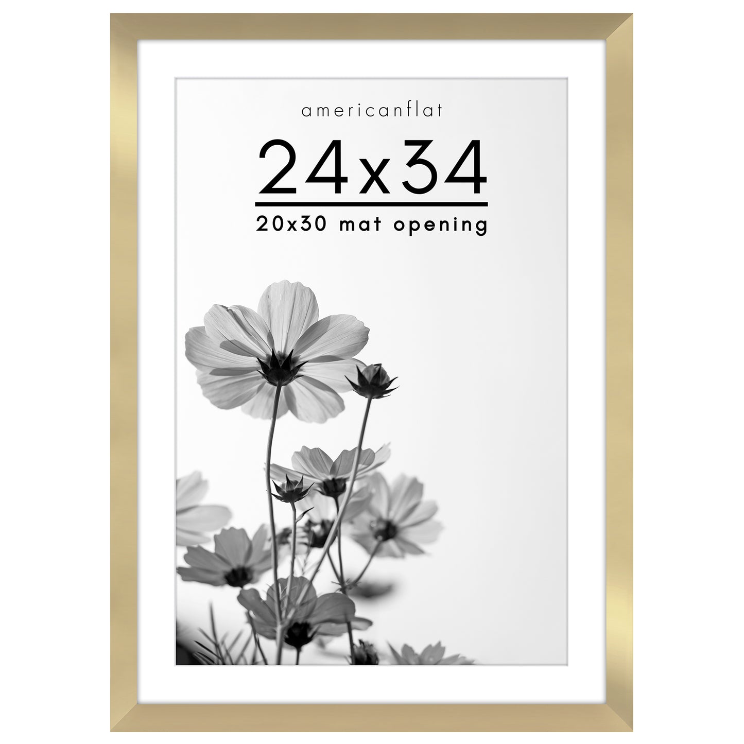 Oversized Gallery Picture Frame with Mat | Hudson Collection