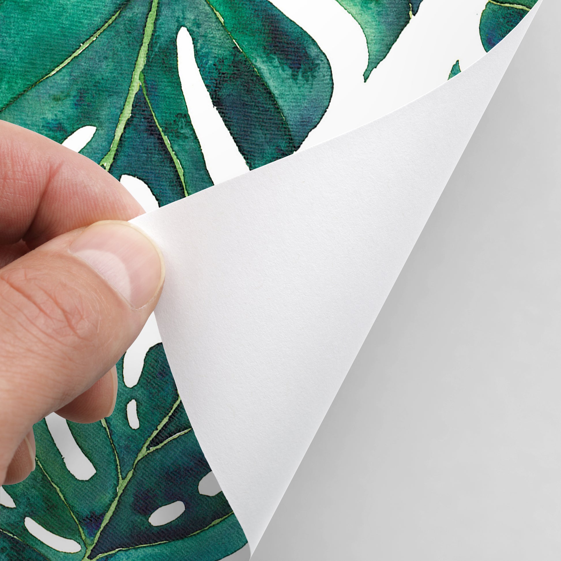 18' L x 24" W Peel & Stick Wallpaper Roll - Tropical Leaves by Elena ONeill - Wallpaper - Americanflat
