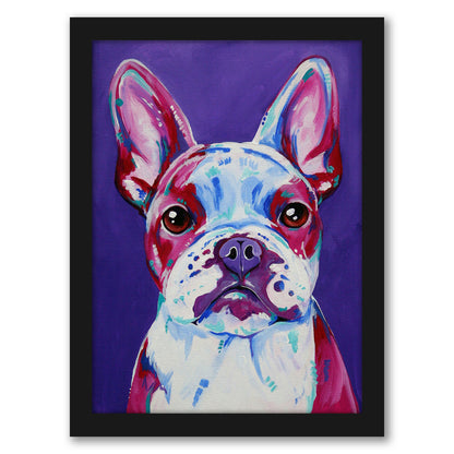 French Bulldog by Eve Izzett - Framed Print