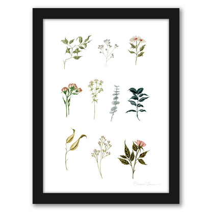Delicate Botanica Pieces by Shealeen Louise - Framed Print