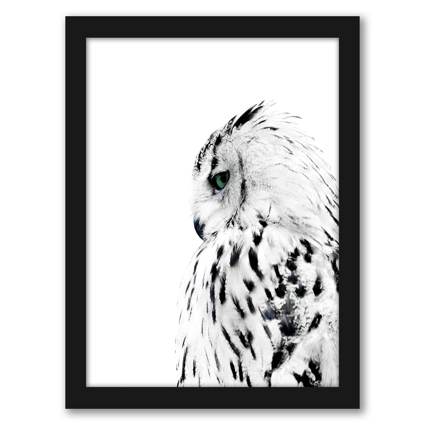 Owl by Cami Monet - Framed Print