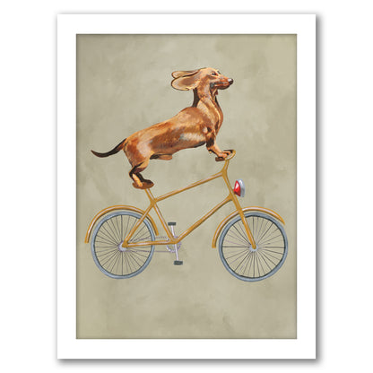 Dachshund On Bicycle By Coco De Paris - White Framed Print