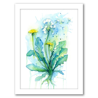 Dandelion by Sam Nagel - Framed Print