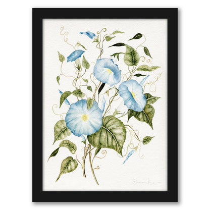 Morning Glories by Shealeen Louise - Framed Print