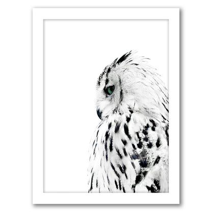 Owl by Cami Monet - Framed Print