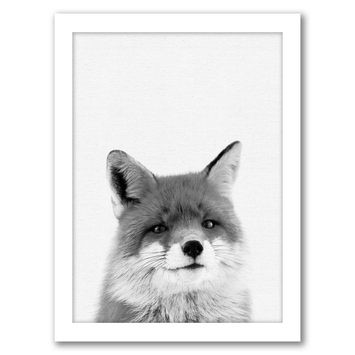 Fox By Nuada - White Framed Print