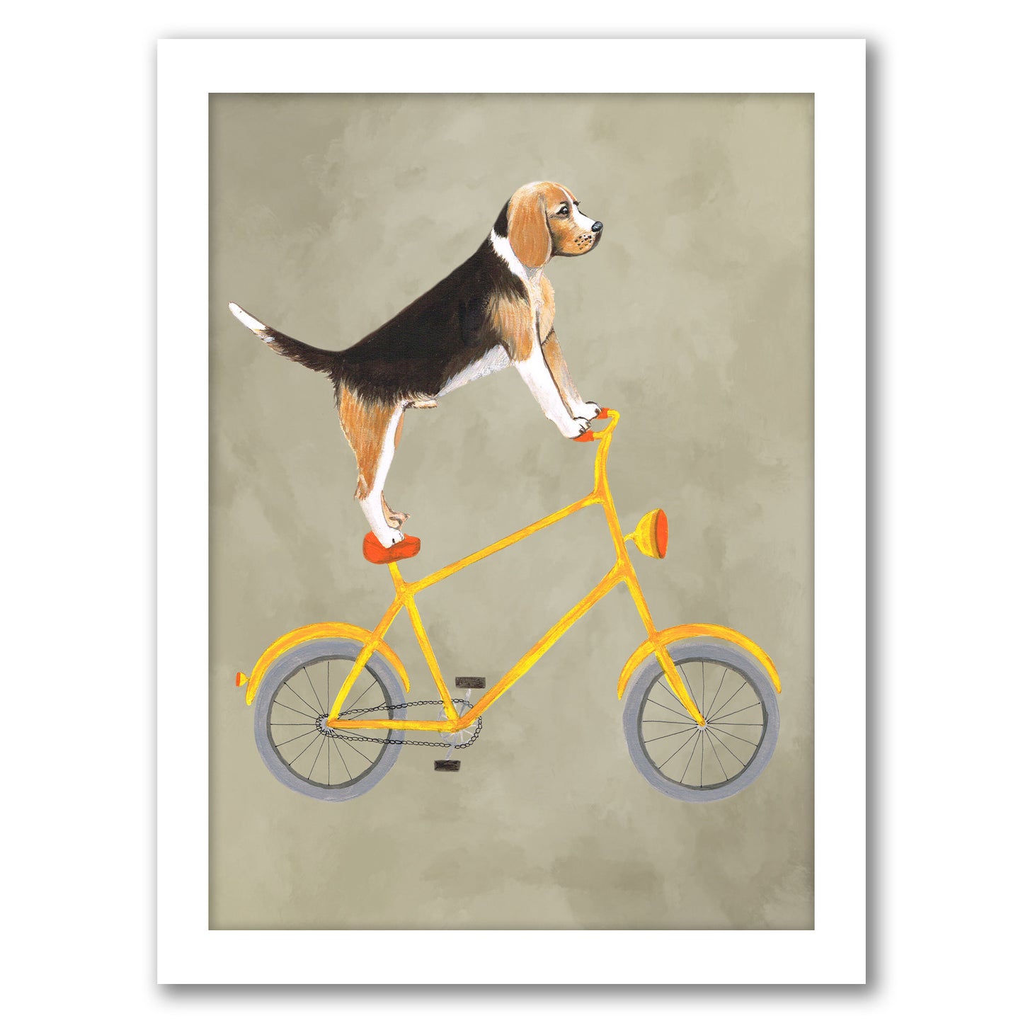Beagle On Bicycle By Coco De Paris - White Framed Print