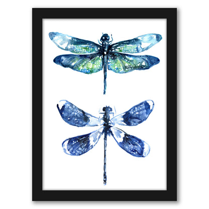 Dragonfly Wings by Sam Nagel - Framed Print