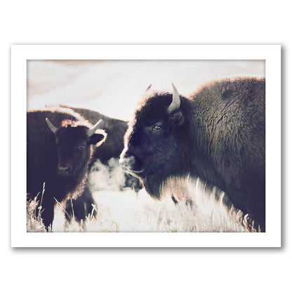 Bison By Sisi And Seb - Framed Print