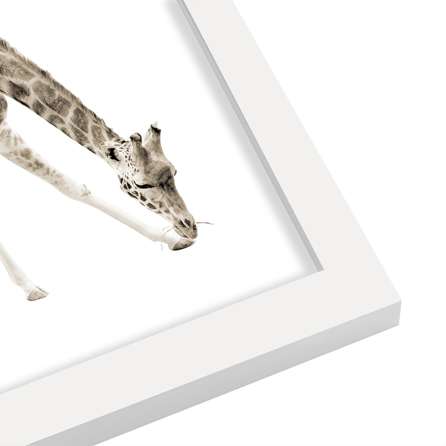 Beige Giraffe 3 By Wall + Wonder - White Framed Print