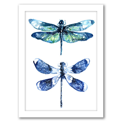 Dragonfly Wings by Sam Nagel - Framed Print