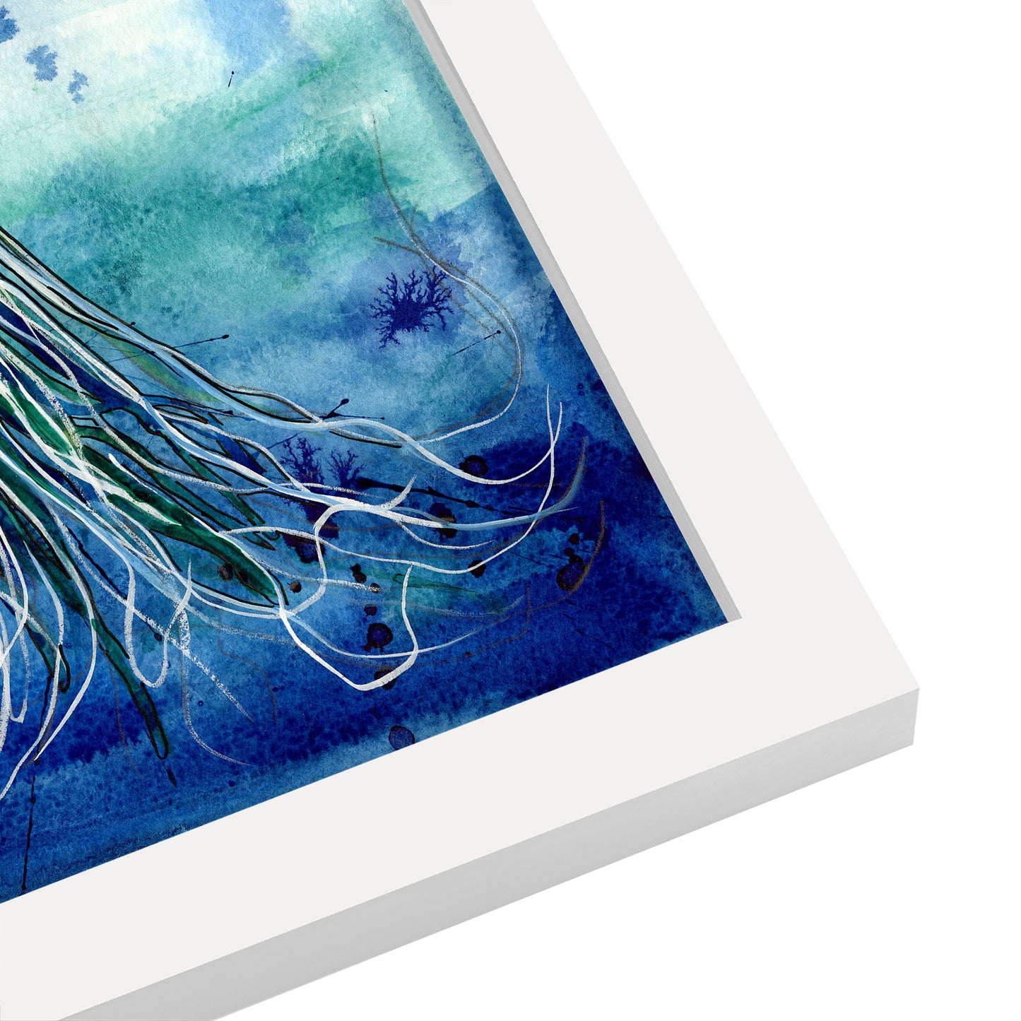 Emperor Jellyfish by Sam Nagel - Framed Print