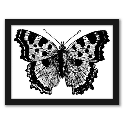 Butterfly 1 by Amy Brinkman - Framed Print