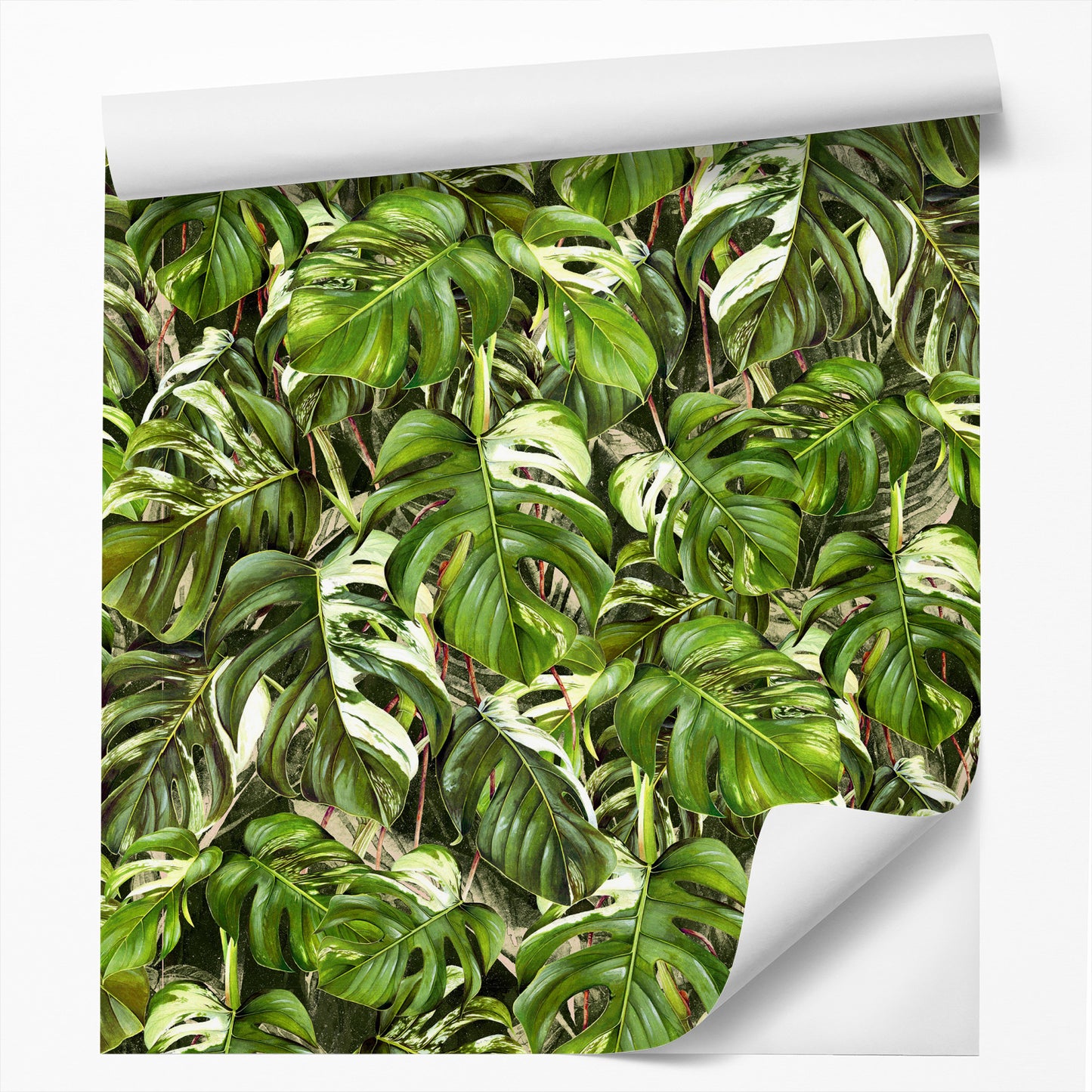 Peel & Stick Wallpaper Roll - Dark Monstera Palm Leaf by DecoWorks
