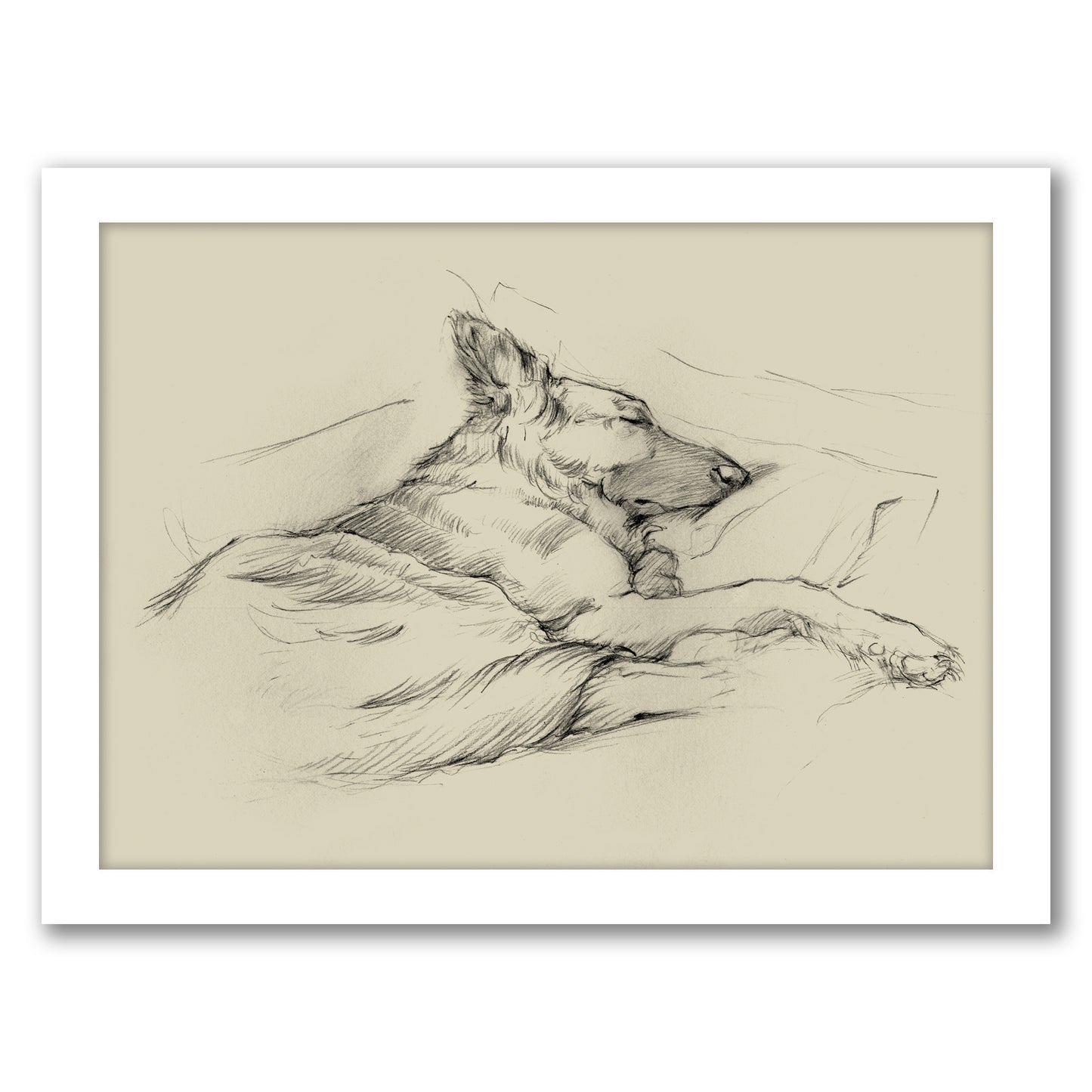 Dog Days IV by Ethan Harper by World Art Group - Framed Print
