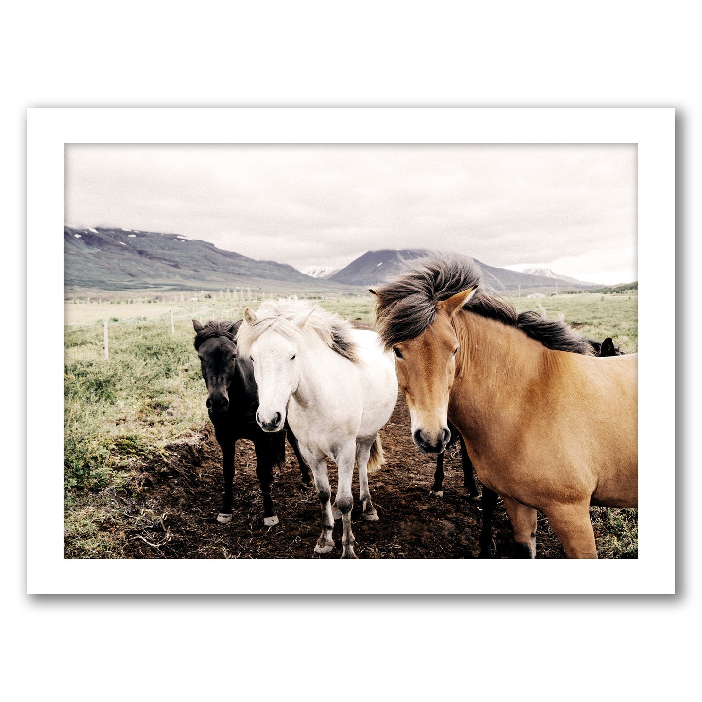 Farm Horses By Nuada - White Framed Print
