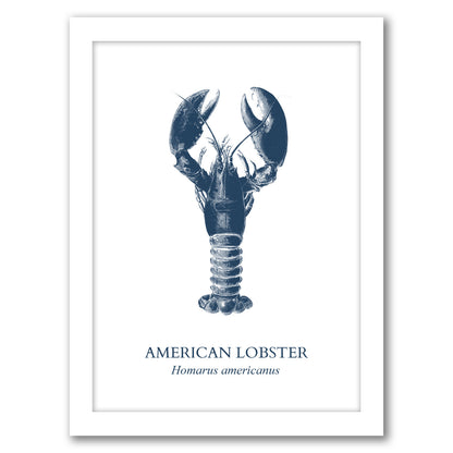 Lobster Sea by Samantha Ranlet - Framed Print